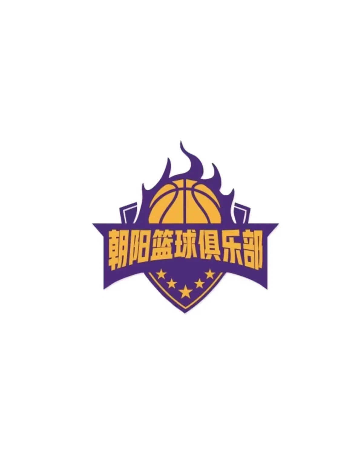 哪里有针对青少年的篮球训练计划_1